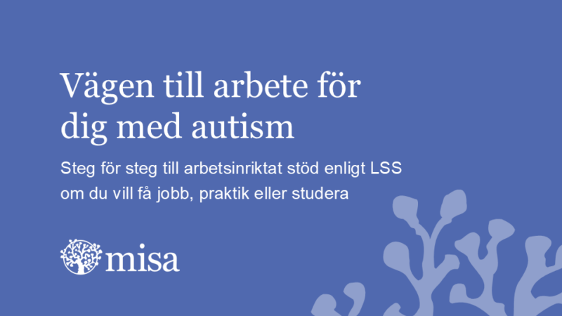 Steg för steg – vägen till arbete för dig med autism