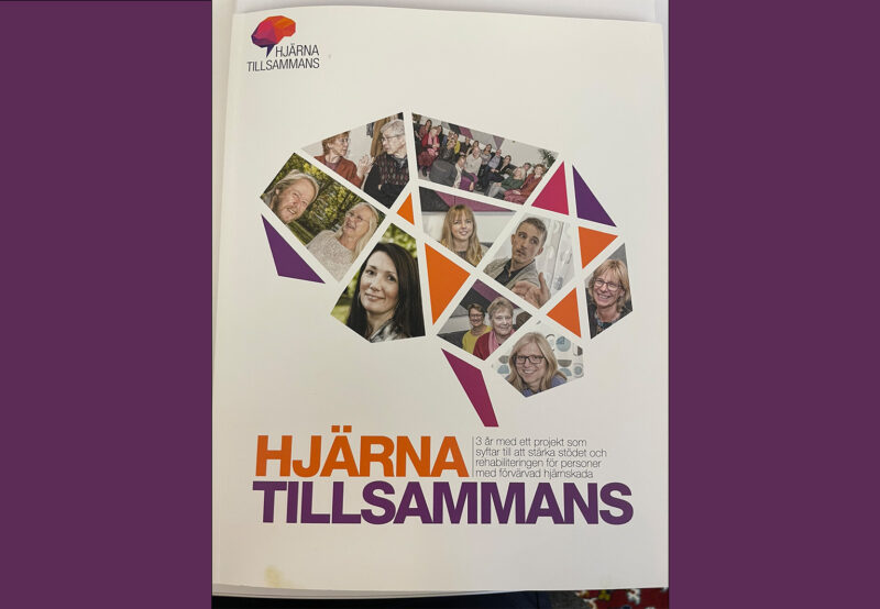 2015 Hjärna tillsamman